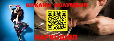 гашик Кингисепп