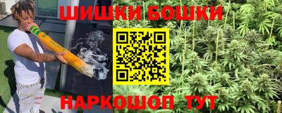 гашик Кингисепп